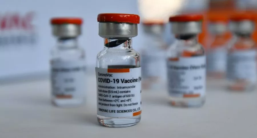 Vacunas de COVID-19 de Sinovac ilustran nota sobre que ese laboratorio no venderá vacunas a empresas privadas