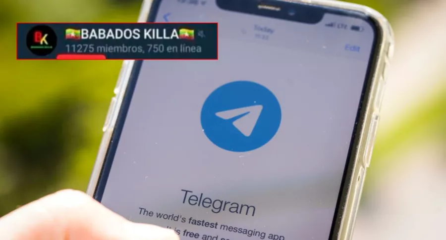 Usan grupo de Telegram Babados Killa para difundir videos íntimos de jóvenes