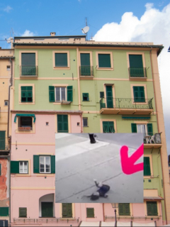 Edificio y captura de pantalla de video de niño de 3 años que cae por ventana de un quinto piso y sobrevive