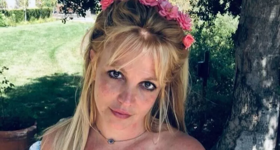 Britney Spears, cantante, a propósito de los múltiples documentales basados en su vida