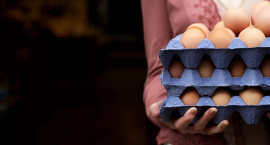Paro nacional: escasez de cubetas de huevos evita que productora los venda