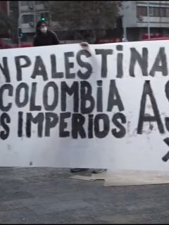Protestas palestinas en Chile en contra del Estado de Israel.