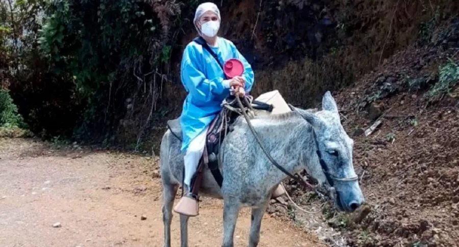 Enfermera Blanca Zuluaga, que viaja en mula a llevar vacunas a adultos mayores en Caldas.