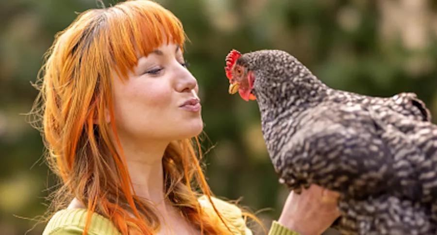 EE. UU. recomienda no abrazar ni besar aves de corral, por contagios