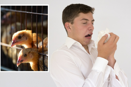 Foto de hombre con gripe y aves, a propósito de qué es h10n3 y qué tan peligrosa es en humanos.