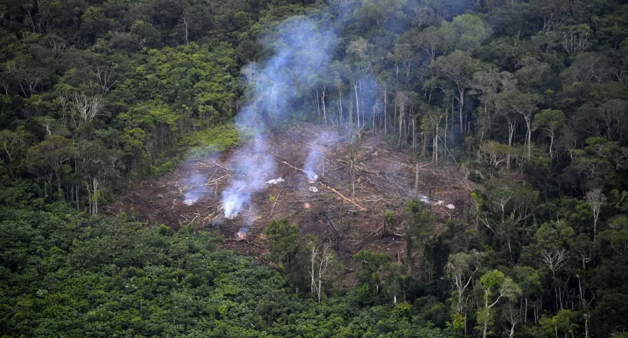 Imagen de deforestación en Amazonas ilustra el artículo Amazonia: deforestación destruyó en mayo 1.180 km2
