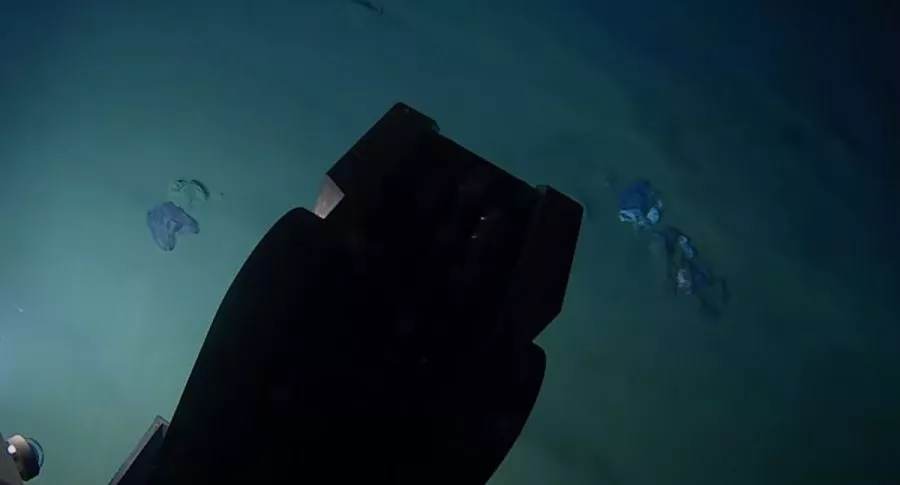 Captura de pantalla de video en el que encuentran plástico y basura en la tercera fosa oceánica más profunda