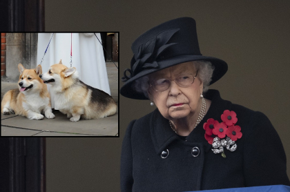 Foto de la reina Isabel II, a propósito de la raza de sus perros y cuánto cuesta