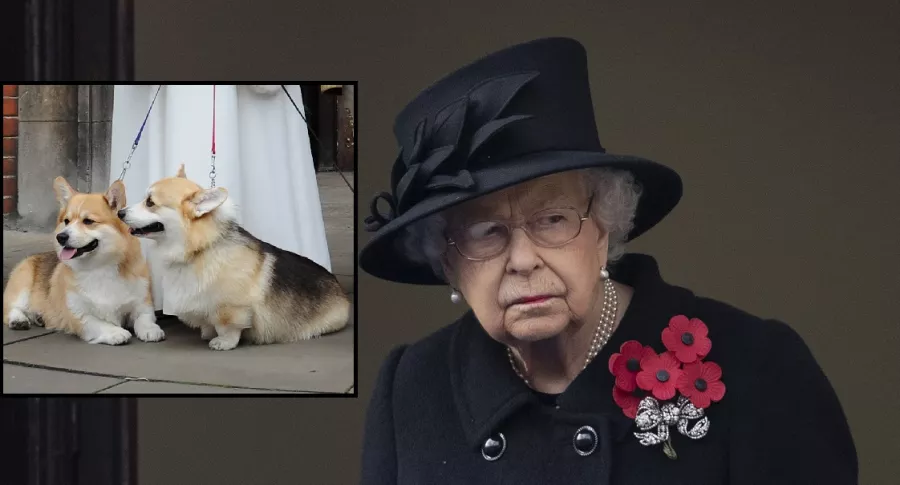 Foto de la reina Isabel II, a propósito de la raza de sus perros y cuánto cuesta