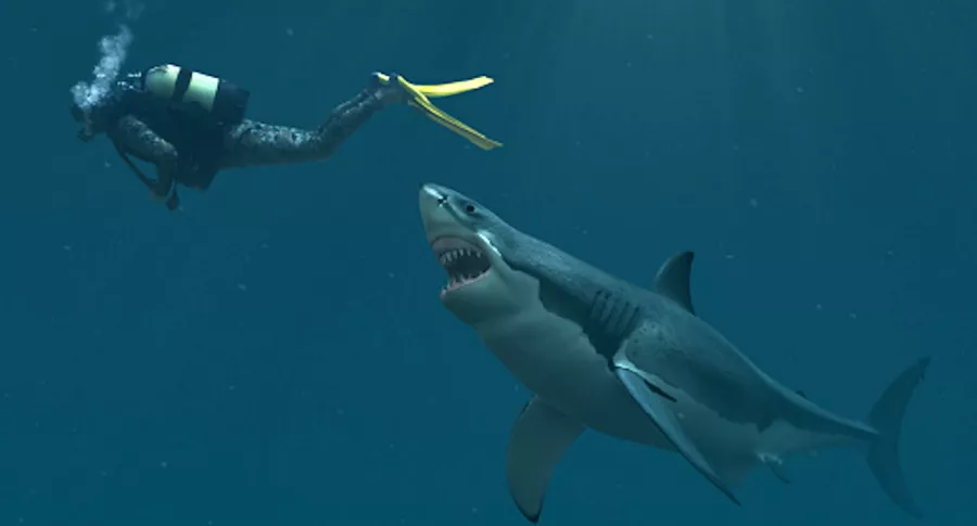 Encuentran a primer humano víctima de un tiburón, de hace 3.000 años