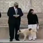 [Video] Perro orinó a política que estaba en evento inaugural con transmisión en vivo