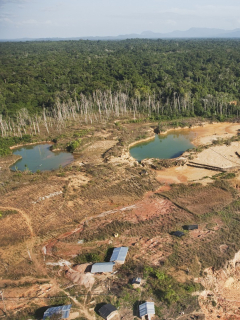 La deforestación en Colombia aumentó un 8 % en 2020.
