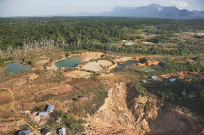 La deforestación en Colombia aumentó un 8 % en 2020.