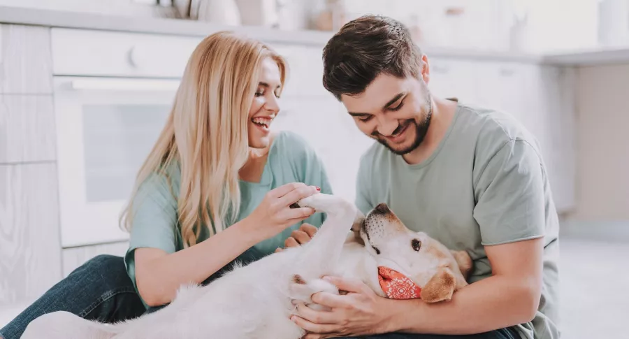 Foto de familia con un perro, a propósito de quién se queda con la mascoa en caso de divorcio