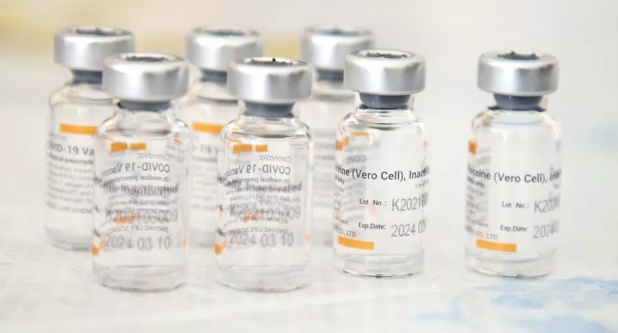 Vacunas de Sinovac que según un estudio podría bajar los anticuerpos después de 6 meses