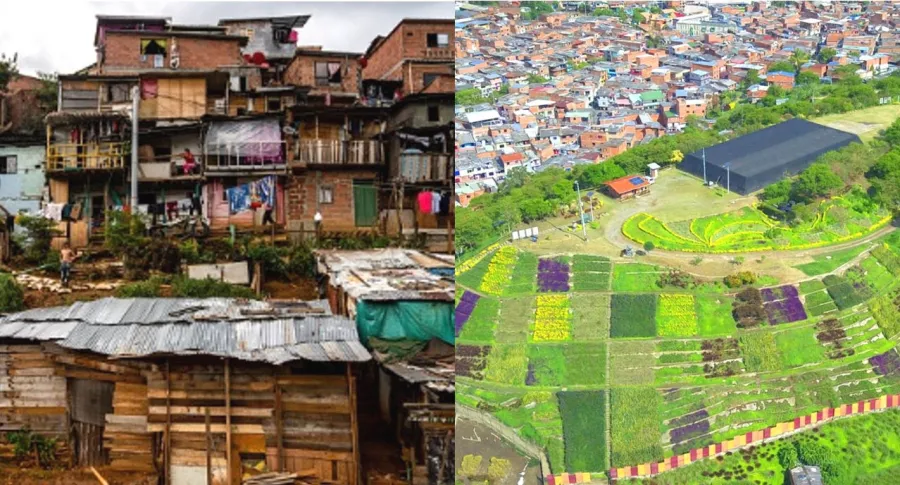 Moravia, el barrio de Medellín que pasó de basurero a jardín