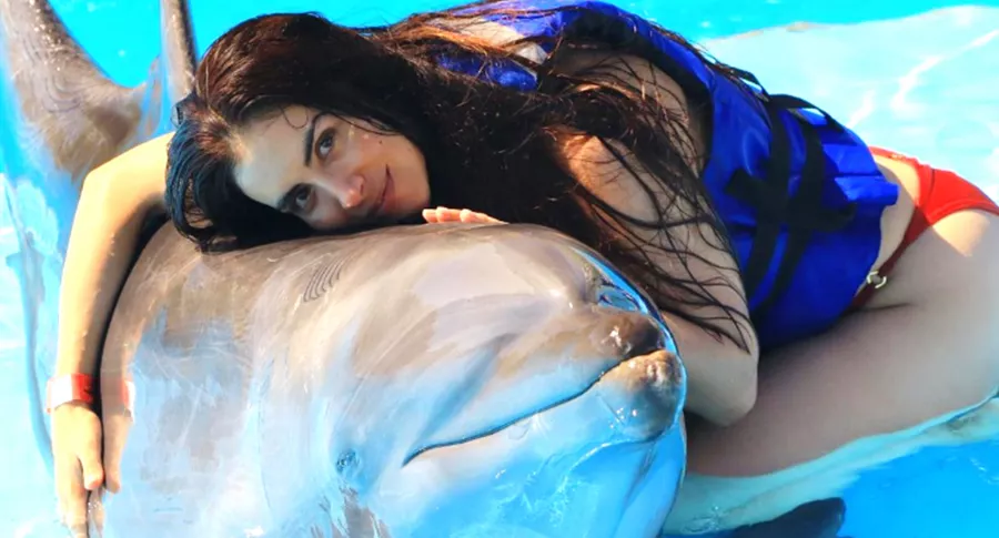 Jessica Cediel se defiende de acusaciones por maltrato animal. Imagen de la modelo con un delfín.