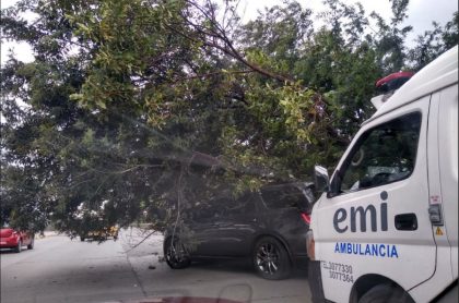 Accidente por árbol que cayó sobre camioneta en la Autopista Norte en Bogotá