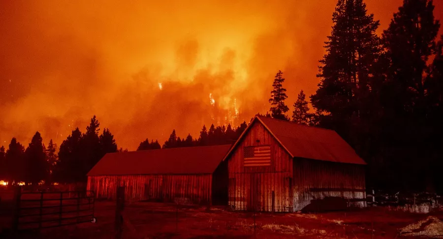 Imagen de incendio forestal ilustra artículo Desastres causaron más de dos millones de muertos en los últimos 50 años 