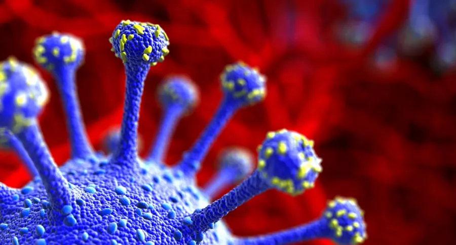 OMs lanza alerta por expansión de la variante Mu del coronavirus en Colombia