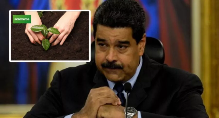 Nicolás Maduro pretende a empresa Monómeros, de fertilizantes, y la Supersociedades pone control