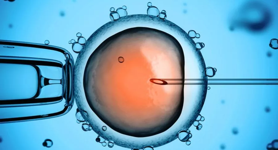 Foto ilustrativa de inseminación artificial, a propósito de mujer compró kit de inseminación artificial por Internet y ahora es mamá