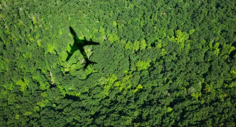 Sombra de avión sobre selva.