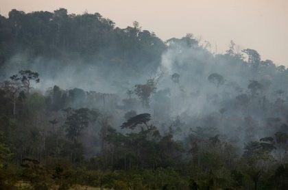 WWF advierte crisis en la Amazonia colombiana tras la firma del acuerdo de paz.