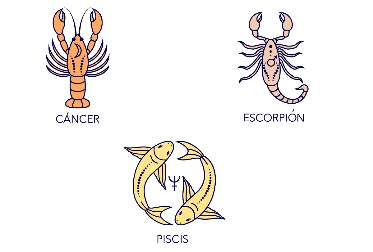 Signos de Cáncer, Escorpio y Piscis ilustran cuál es la inteligencia de los signos de agua.