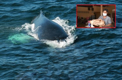 Pescador de Tailandia halló "vómito de ballena", valuado en un millón de dólares