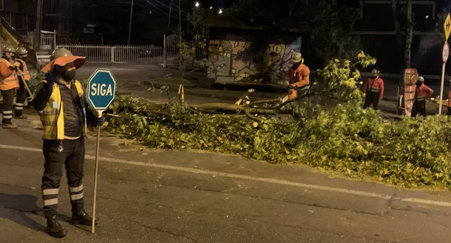 Vecinos del barrio Niza denuncian tala de árboles en la madrugada de este viernes 8 de octubre.
