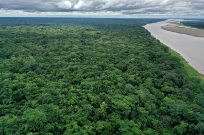 Imagen del Amazonas ilustra artículo Colombia declarará área protegida el 30 % de su territorio en 2022