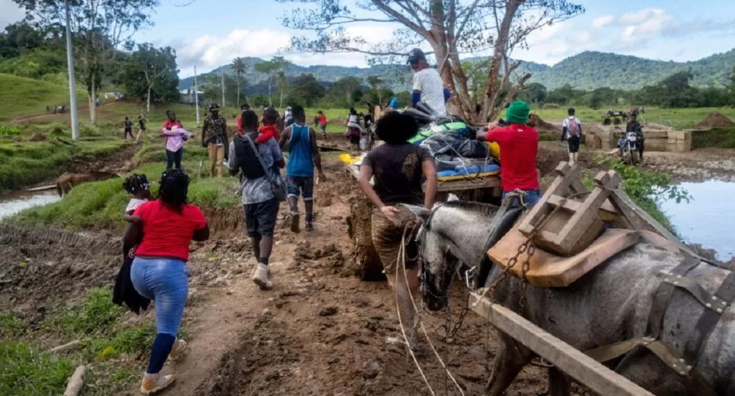Desplazados o migrantes se ven forzados a dejar sus tierras en Colombia.