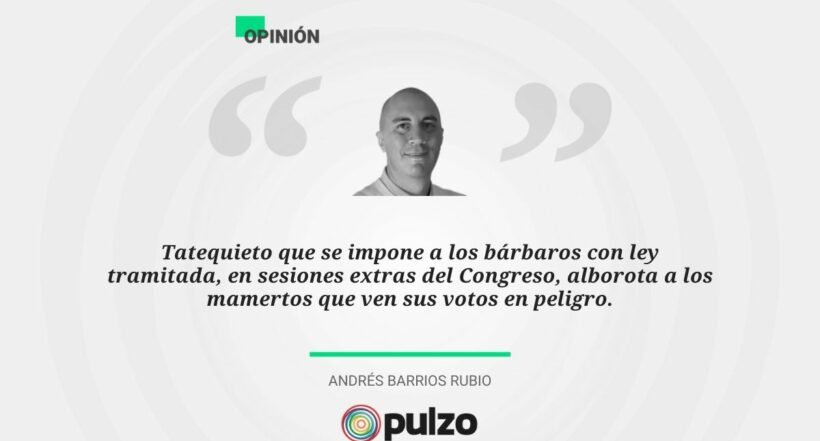 Imagen noticia seccion