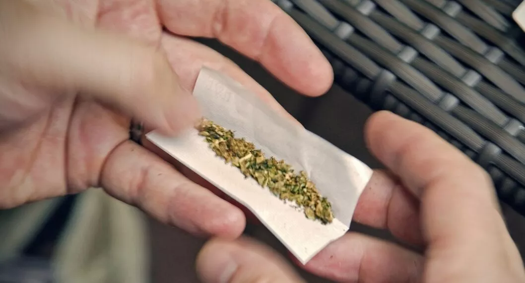 Imagen de droga que ilustra nota; En Bogotá, argentino arrestado por comprar 1,5 kilos de marihuana
