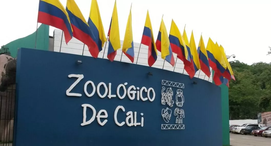 Imagen del zoológico de Cali: Pólvora en Cali dejó dos animales muertos en zoológico de la ciudad
