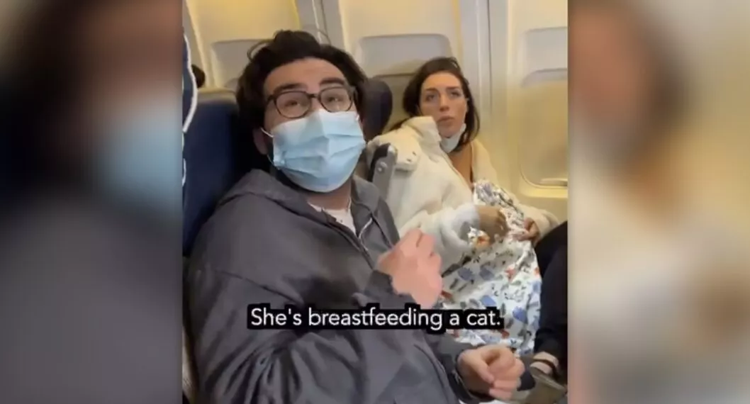 Video de mujer amamantando un gato en un avión es falso; lo hizo un youtuber