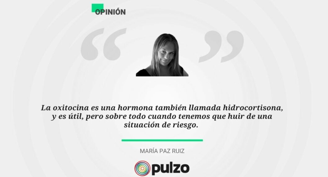 Sobre el libro de “Encuentra tu persona vitamina”