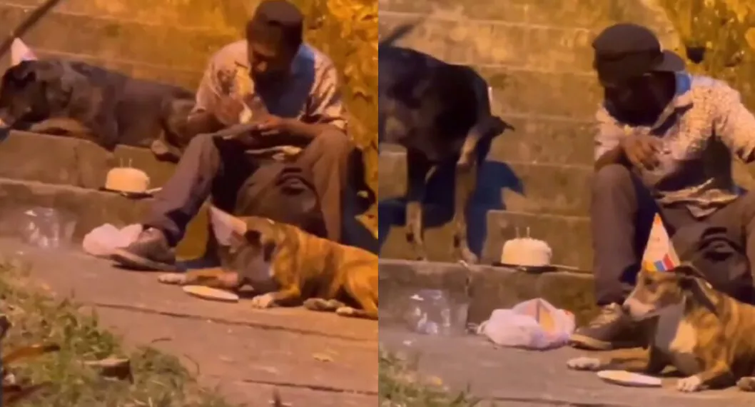Habla habitante de calle de Bucaramanga que hizo fiesta a perros