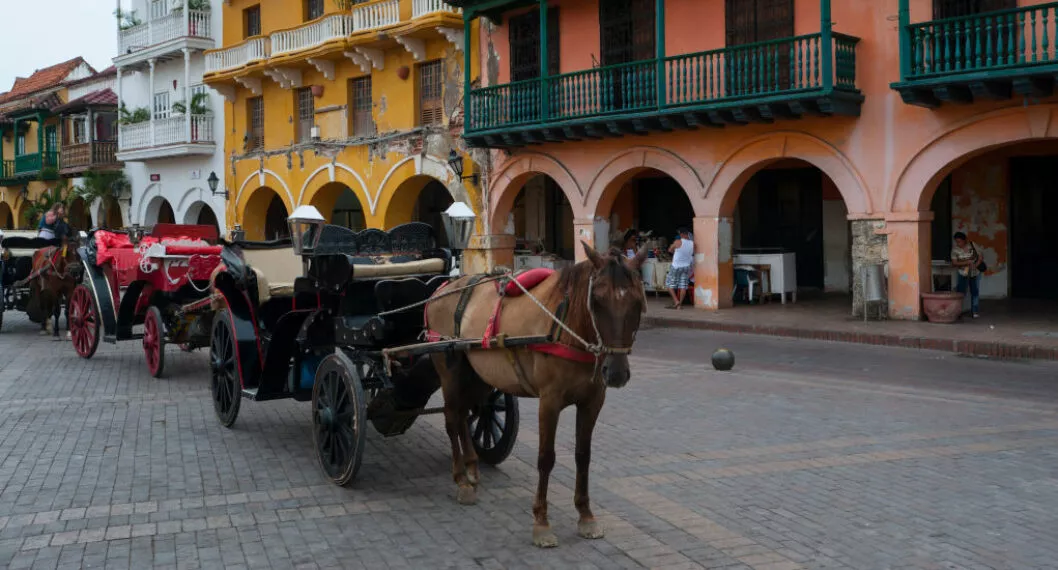 Con negocio de coches de caballos en Cartagena (ciudad amurallada) ganan hasta tres millones de pesos por día: precios y cómo son los lugares en los que los tienen.