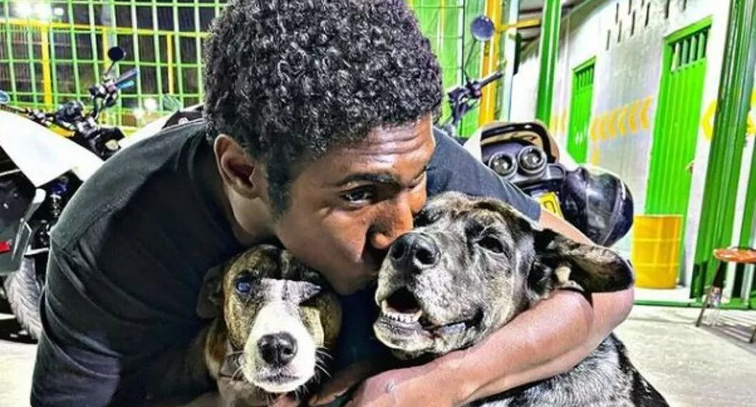 'Choco', el habitante de calle que ama a sus perros, tiene miles de seguidores