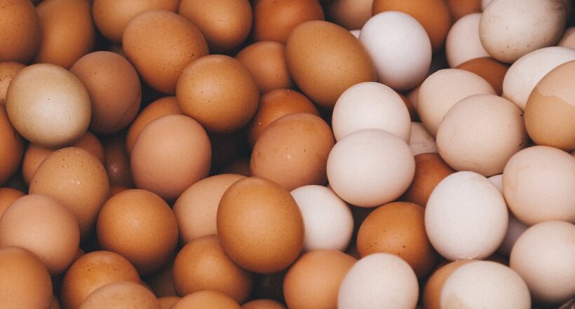 Imagen que ilustra los precios del huevo. 
