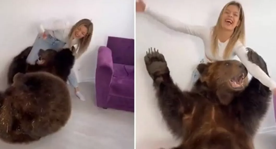 Tiktoker lleva oso gigante a su apartamento para "divertir" a si hijo de un año