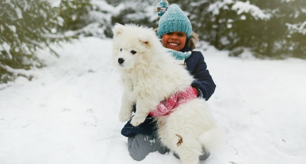Una niña abraza a perro en la nieve, ilustra nota de Niña en Rusia sobrevive en la calle a una tormenta de nieve gracias a perro