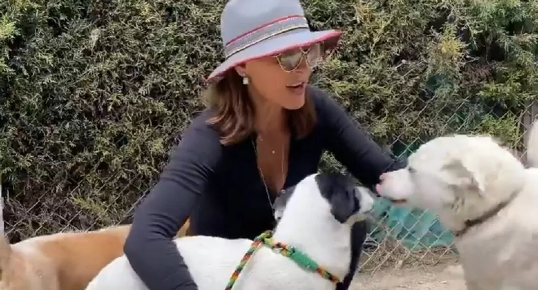 La actriz colombiana Amparo Grisales continúa con su labor de rescatar a perros abandonados y promover la adopción.