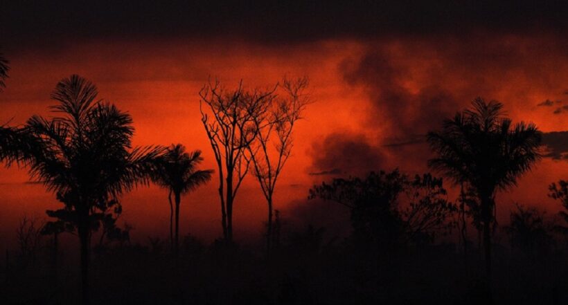 Imagen que ilustra incendios forestales en el Guaviare. 