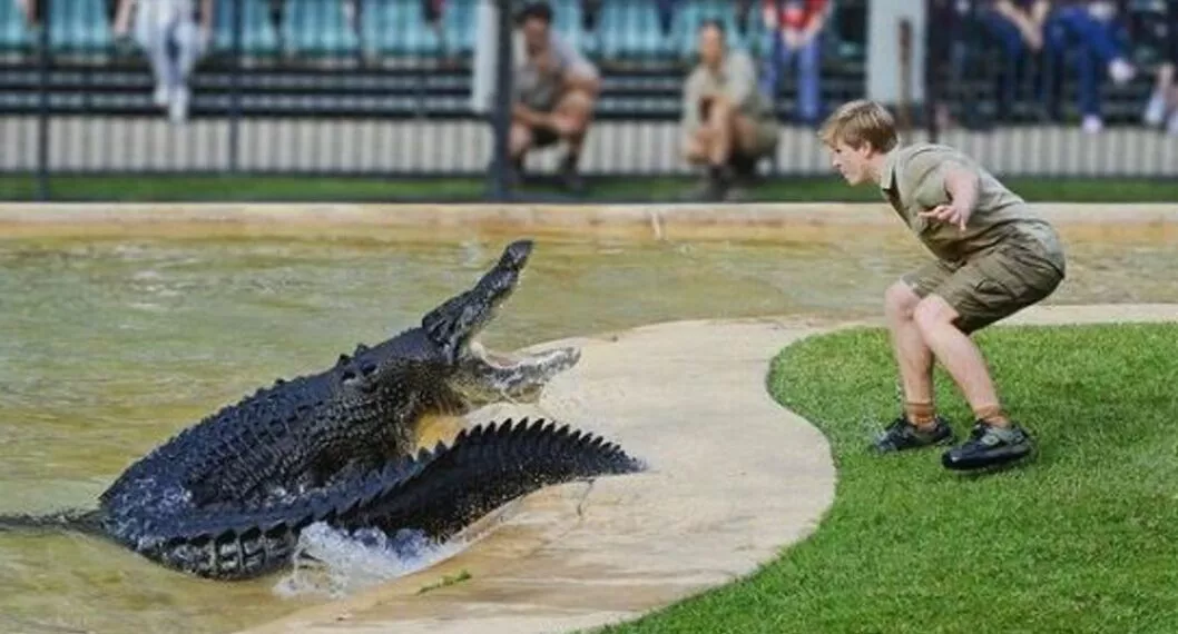 Video: Hijo de el 'cazador de cocodrilos' escapa del ataque de gigante caimán