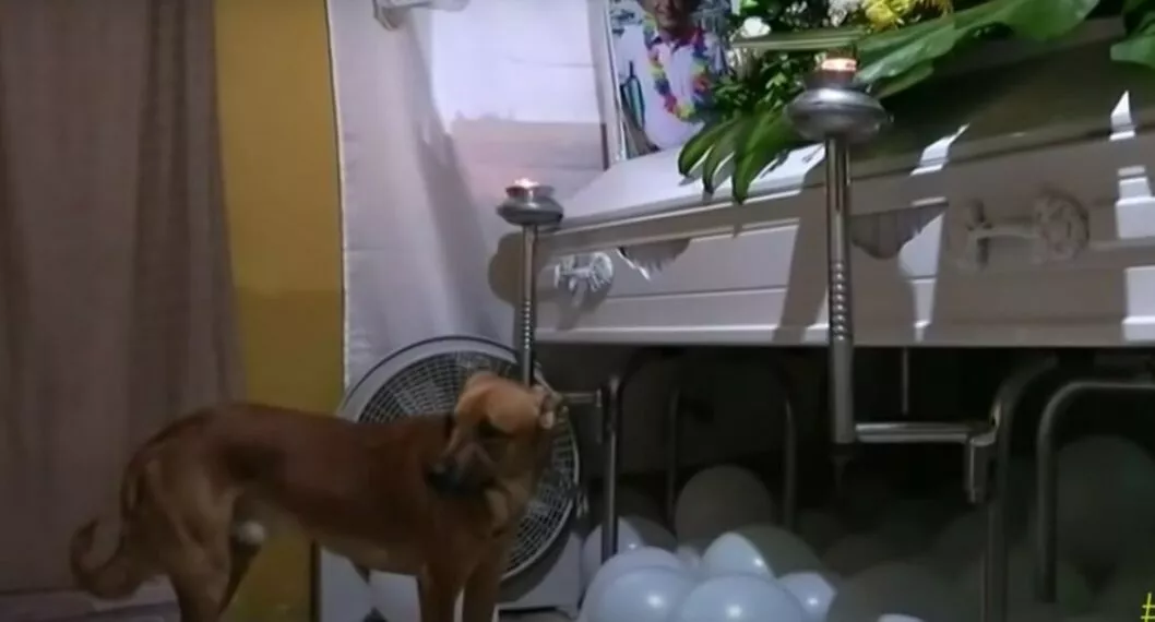 Video: perro no abandona a su amo en funeral, víctima de derrumbe en Pereira