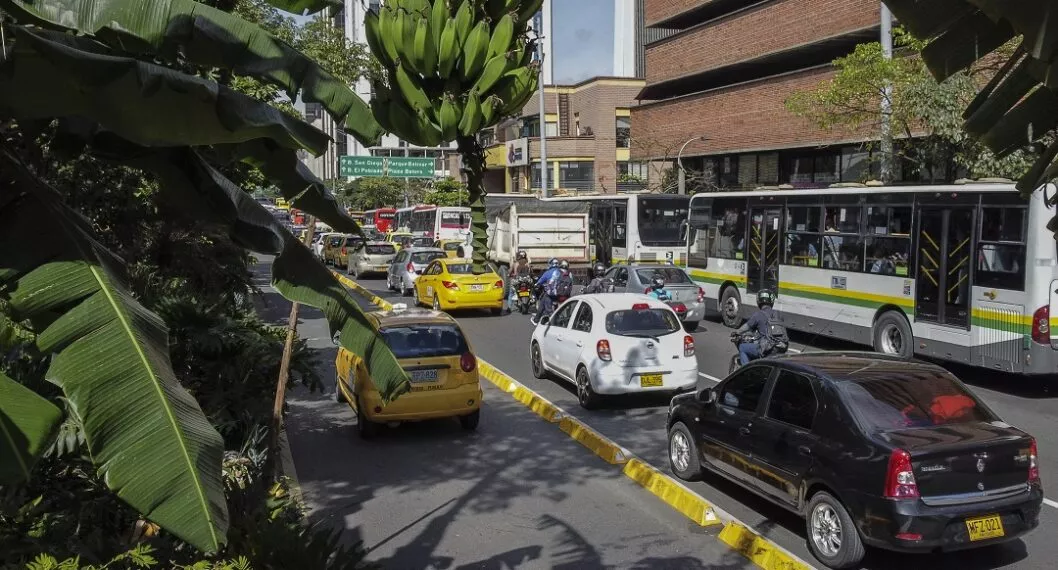 Carros en Medellín ilustran nota sobre cómo pagar para no tener pico y placa en esa ciudad