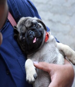Sebastián Vásquez Sierra recibió milagro de nueva beata